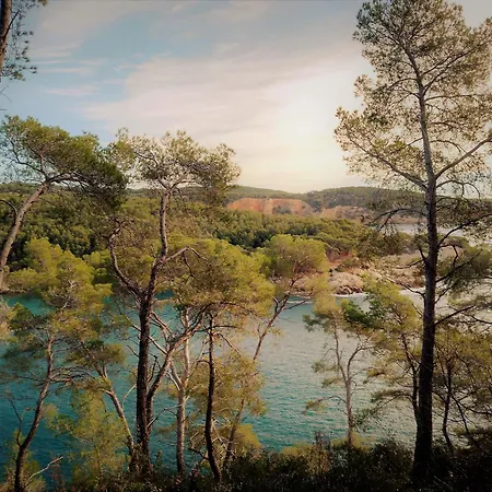 Les Pieds Tanques - D'hotes - Calanque A Pieds 4*