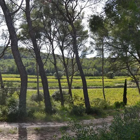 Les Pieds Tanques - D'hotes - Calanque A Pieds 住宿加早餐酒店 滨海圣西尔