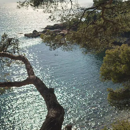 Les Pieds Tanques - D'hotes - Calanque A Pieds 住宿加早餐酒店 4*