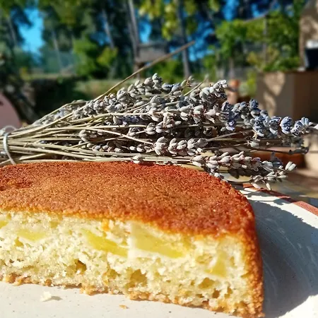 住宿加早餐酒店 Les Pieds Tanques - D'hotes - Calanque A Pieds 滨海圣西尔