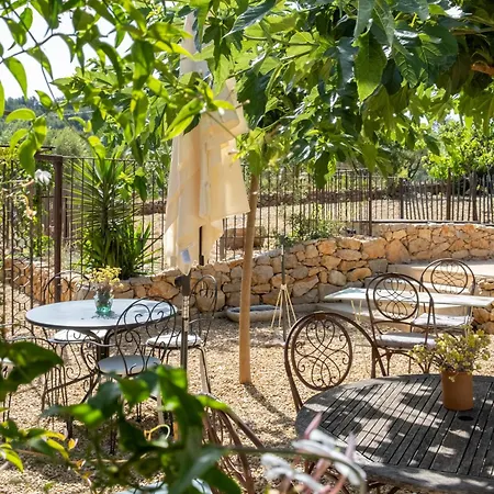 Les Pieds Tanques - D'hotes - Calanque A Pieds 住宿加早餐酒店